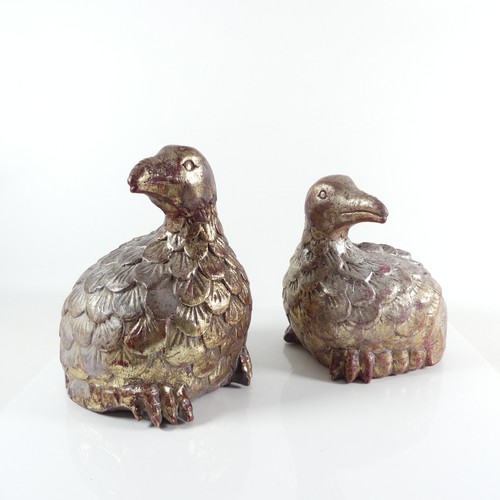 Seltene vögel rebhühner - seltene, vögel,